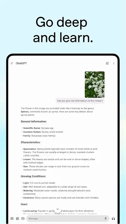 ChatGPT MOD APK Premium Unlocked AI Chat Assistant For Android (Latest Version) Screenshot