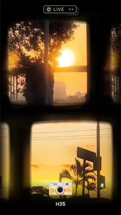 OldRoll MOD APK Best Vintage Camera and Retro Photo Editor App for Android [Premium Unlocked] Screenshot
