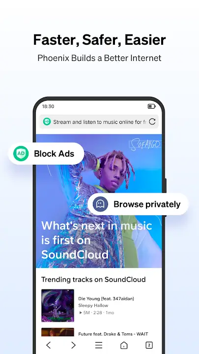Phoenix Browser APK Fast Private Browser Video Downloader App For Android Latest Version Screenshot
