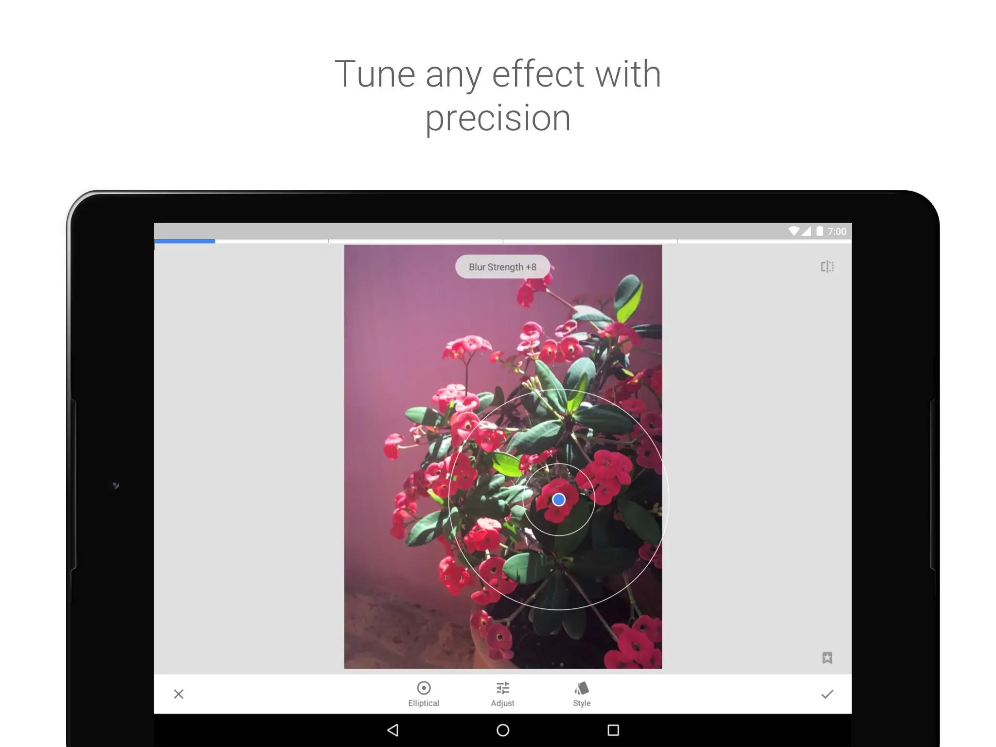 Snapseed  MOD APK [Premium Unlocked] for Android Screenshot