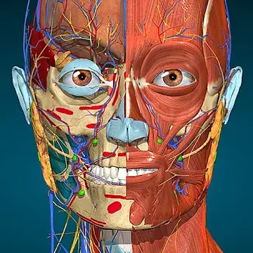 Anatomy Learning MOD APK Best 3D Human Anatomy Learning App for Android [Premium Unlocked] MOD APK Download
